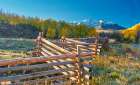 Colorado-Quray Dallas Divide-sunrise on the Mt Snaffles with autumn colors and split rail fence Art Print